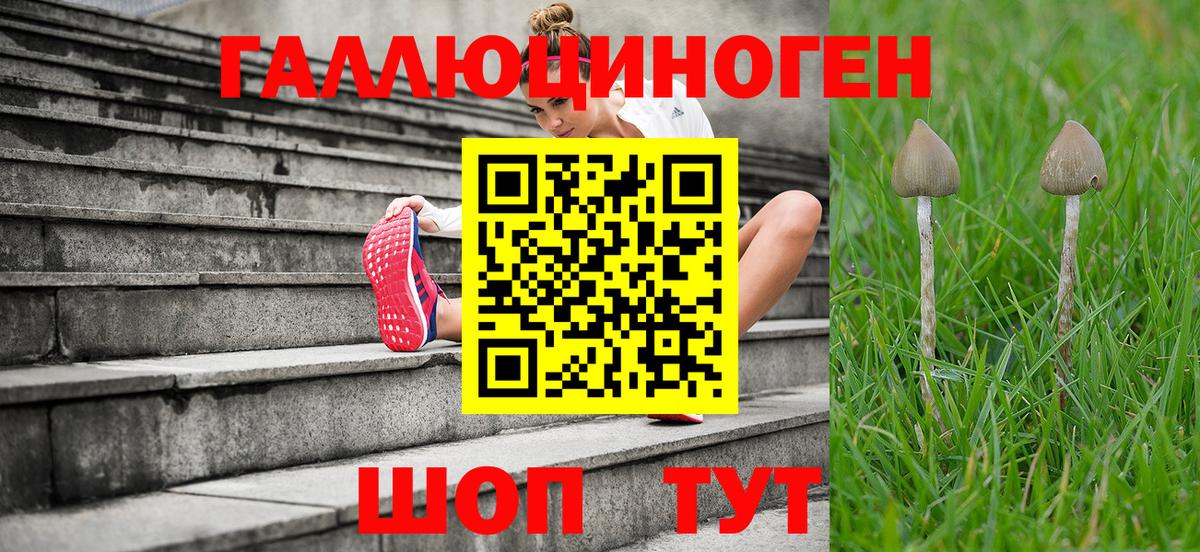 Галлюциногенные грибы Psilocybe Стерлитамак