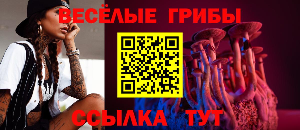 Стерлитамак  Галлюциногенные грибы ЛСД  Вход с VPN 